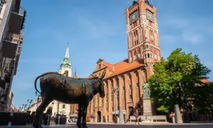 Pomnik osiołka na Rynku Staromiejskim w Toruniu, z Ratuszem w tle.
