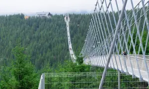 Spacerem po najdłuższym moście w Czechach, zawieszonym nad gęstym lasem.