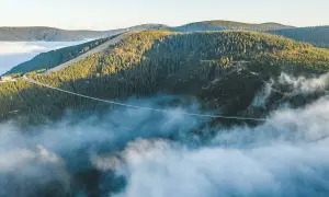 Długi, wiszący most w Czechach przecina gęsty las, unosząc się nad morzem mgieł.