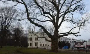 Pałac w Miechowicach: niezwykła atrakcja Bytomia zaprasza na zwiedzanie