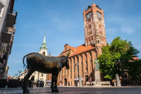 Pomnik osiołka na Rynku Staromiejskim w Toruniu, z Ratuszem w tle.