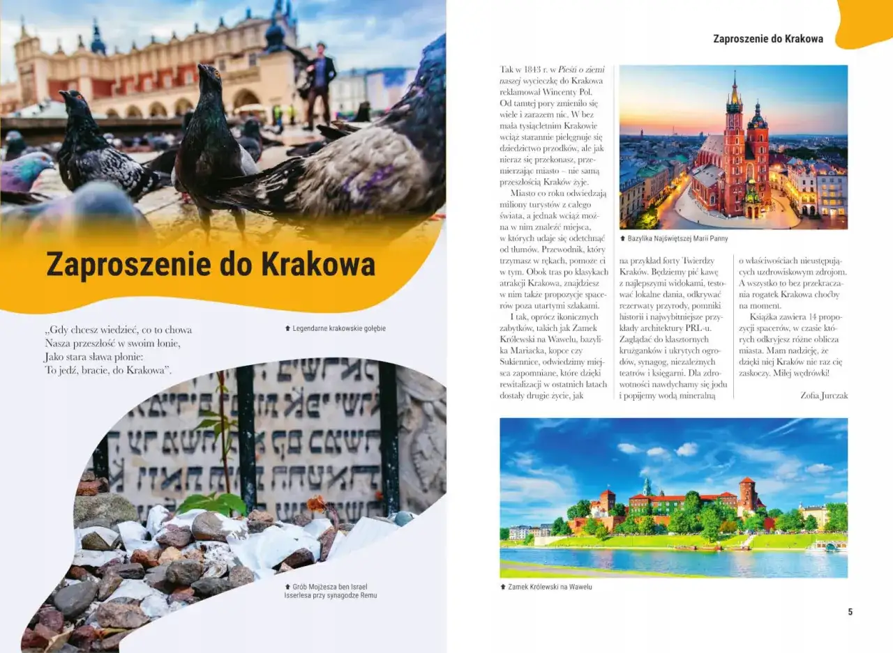 Kraków: gołębie na Rynku, Bazylika Mariacka, Wawel i synagoga Remu. Odkryj ciekawe ciekawostki o Krakowie i jego ukrytych zakątkach.