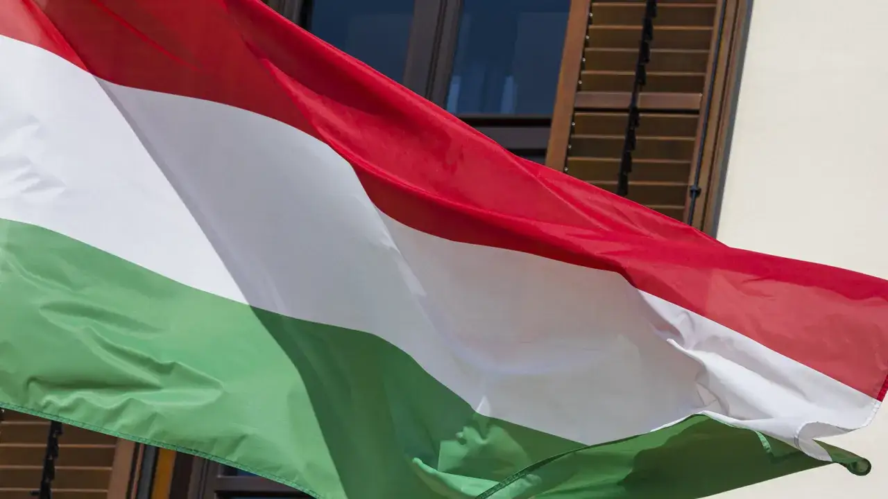 Flaga zielono biało czerwona powiewa na wietrze.